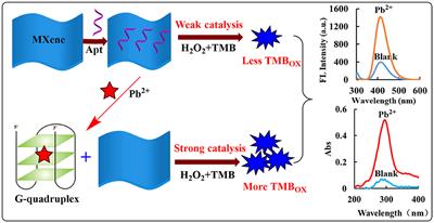 MXene catalytic amplification-fluorescence/absorption dimode aptamer sensor for the detection of trace Pb2+ in milk